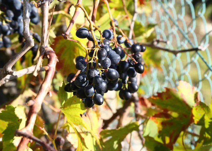 Casa Mari Pontedassio