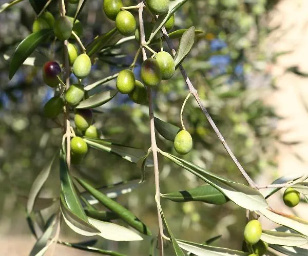 Nyaraló Casa Mari Pontedassio